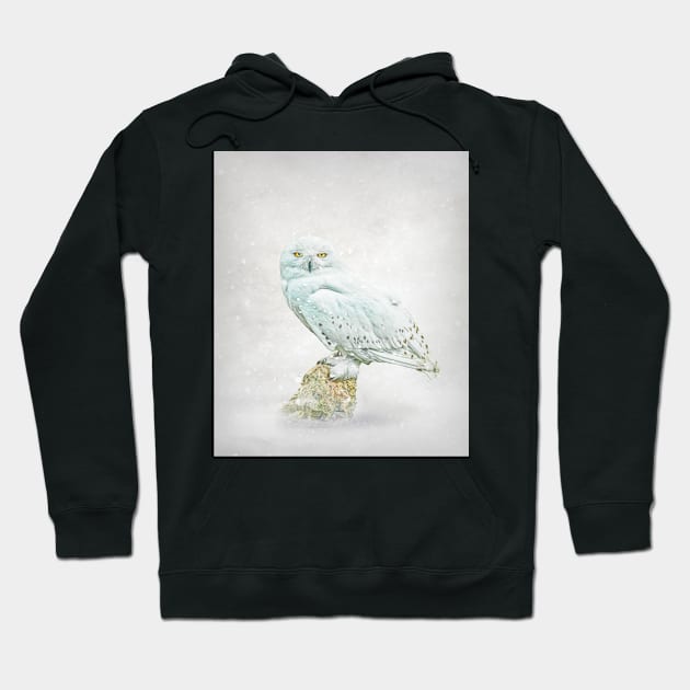 Snowy owl portrait Hoodie by Tarrby